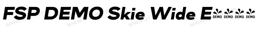 FSP DEMO Skie Wide E字体转换